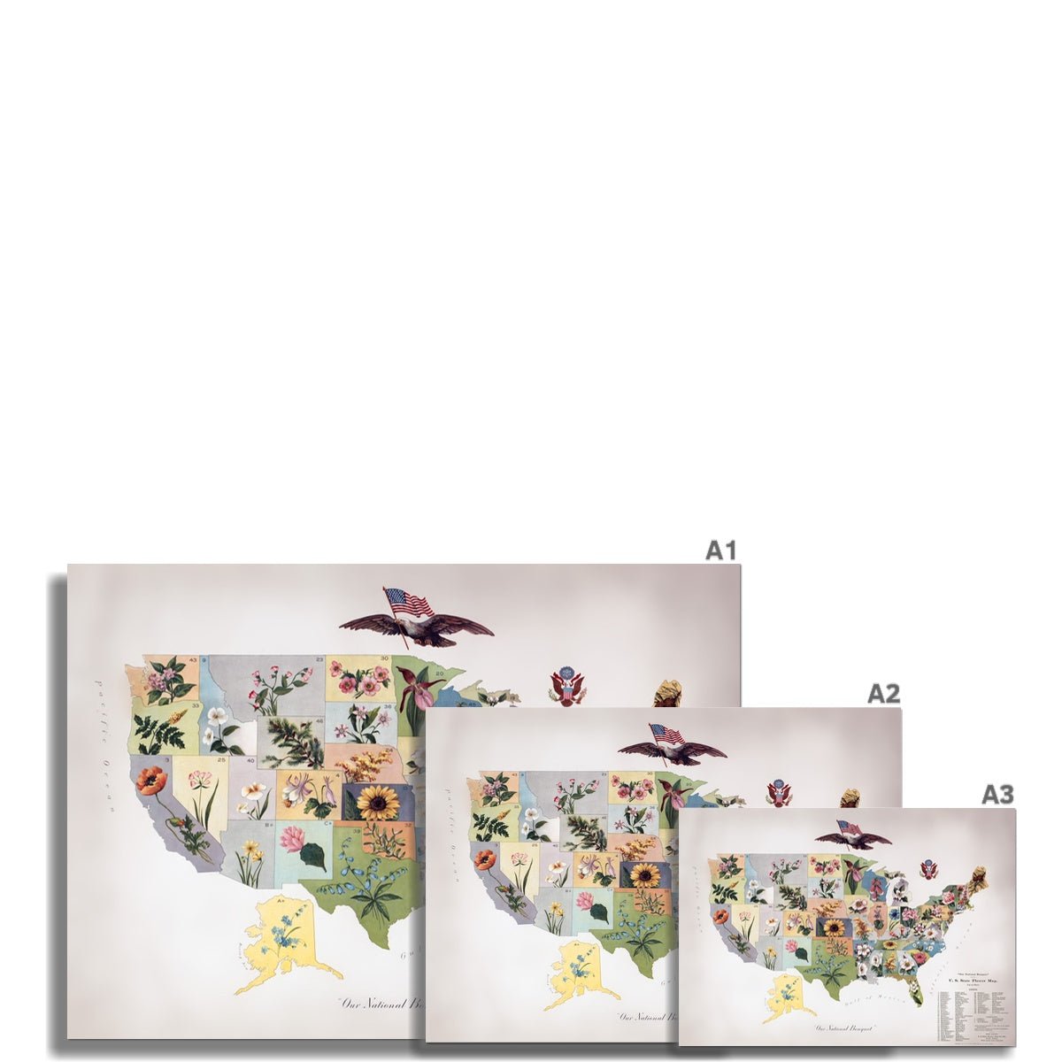 Our National Bouquet 6 - Floral Fine art by doingly