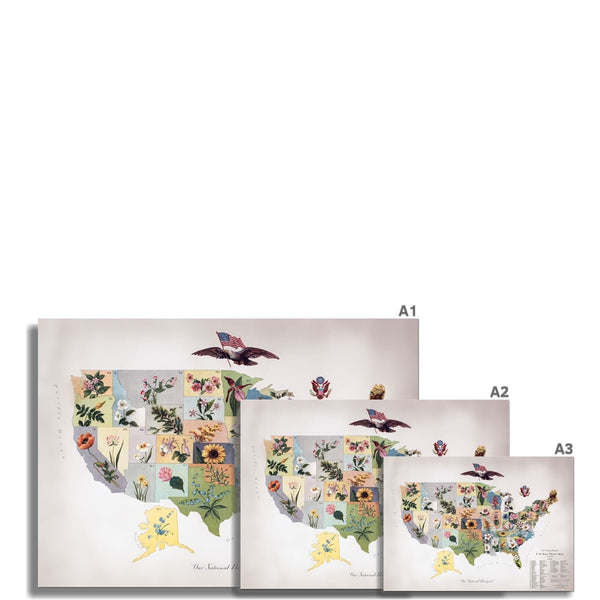 Our National Bouquet 6 - Floral Fine art by doingly