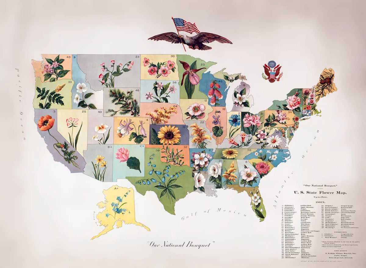 Our National Bouquet 2 - Floral Fine art by doingly