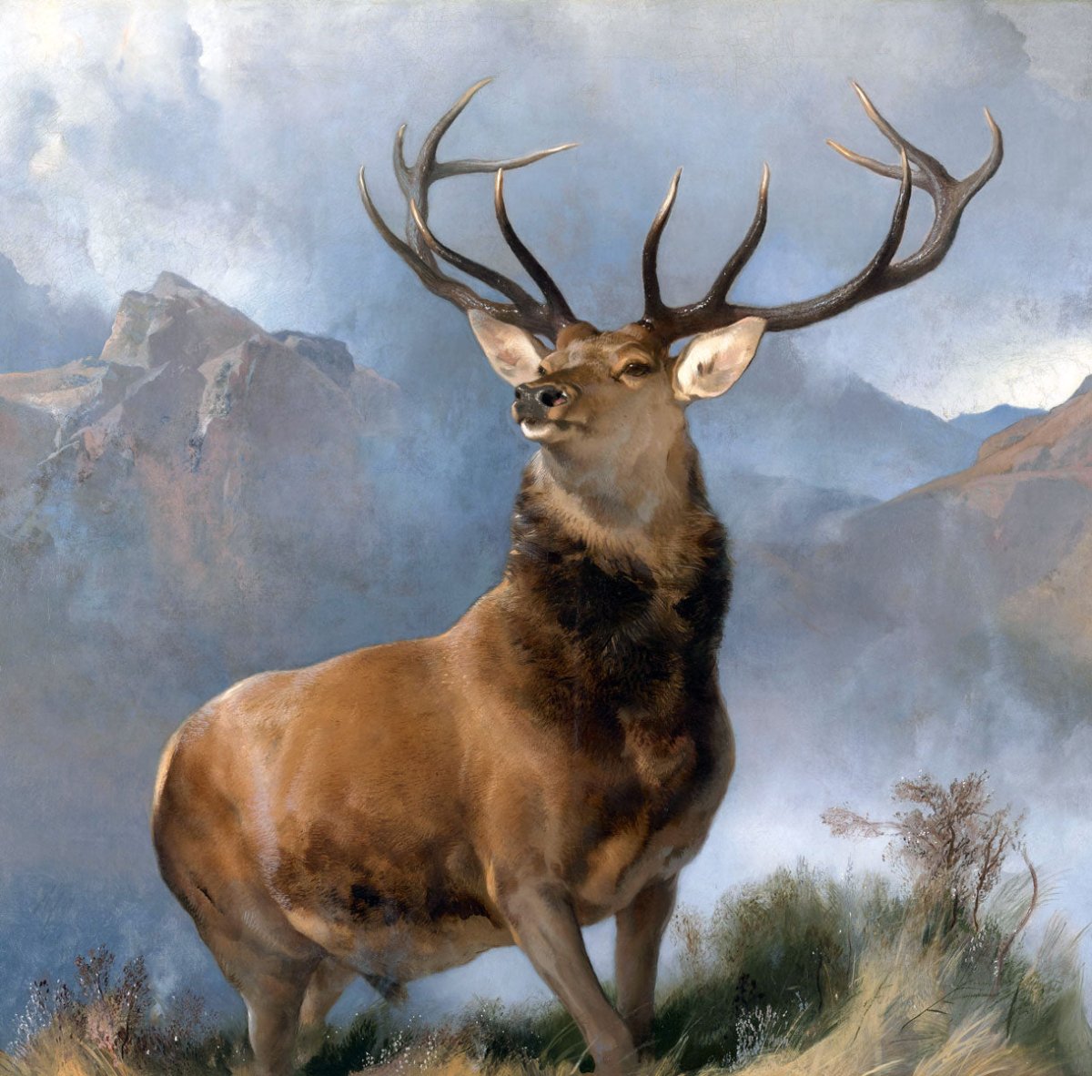 The Monarch of the Glen 2 - Animal Fine art by doingly