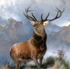 The Monarch of the Glen 2 - Animal Fine art by doingly