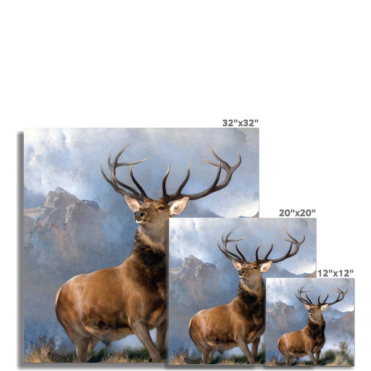 The Monarch of the Glen 8 - Animal Fine art by doingly