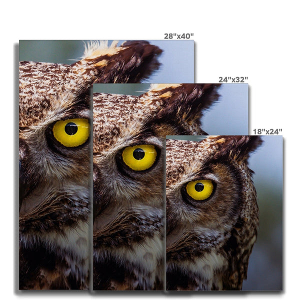 Observant Ollie 8 - Animal Canvas Print by doingly