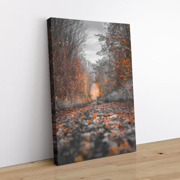 Autumn Passage 1 - Landscapes Canvas Print by doingly