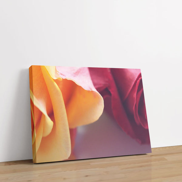 Delight 1 - Close-ups Canvas Print by doingly