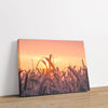 Grains of Dawn 1 - Farm Life Canvas Print by doingly