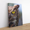 Observant Ollie 1 - Animal Canvas Print by doingly