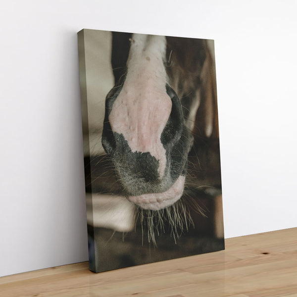 The Nose Knows 1 - Animal Canvas Print by doingly