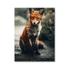 Arvi 2 - Animal Canvas Print by doingly