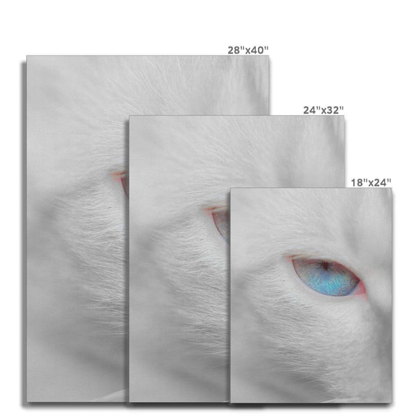 Attention Caught 7 - Animal Canvas Print by doingly