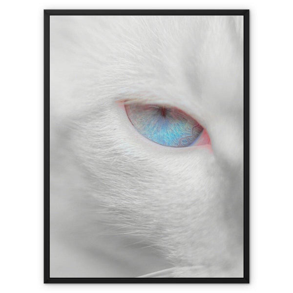 Attention Caught 3 - Animal Canvas Print by doingly