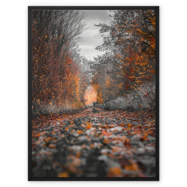 Autumn Passage 3 - Landscapes Canvas Print by doingly