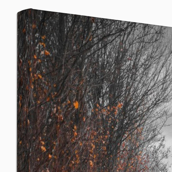 Autumn Passage 4 - Landscapes Canvas Print by doingly