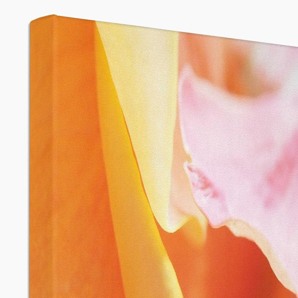 Delight 4 - Close-ups Canvas Print by doingly