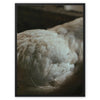 Feathered Creature 3 - Animal Canvas Print by doingly