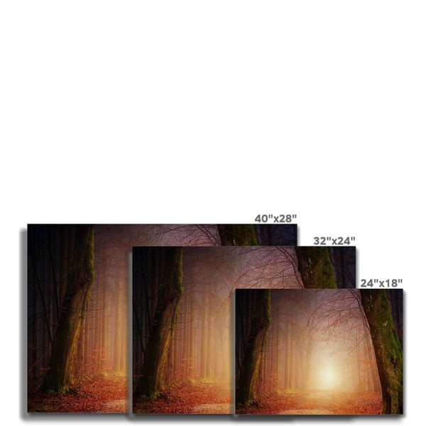 Filligo 7 - Landscapes Canvas Print by doingly