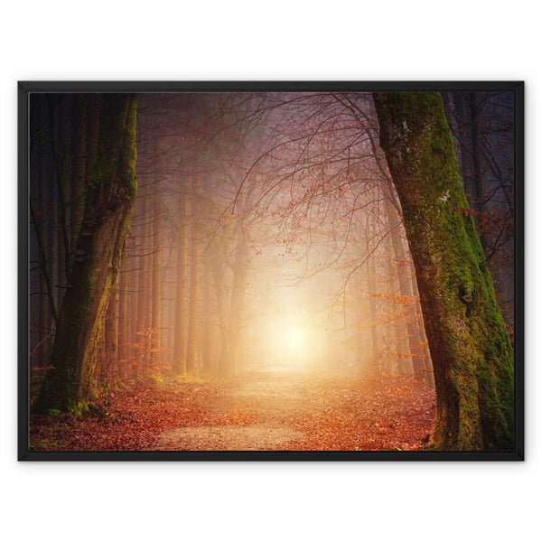 Filligo 3 - Landscapes Canvas Print by doingly