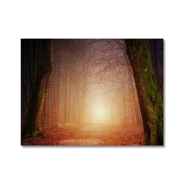 Filligo 2 - Landscapes Canvas Print by doingly