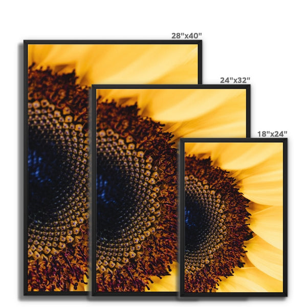 And Flowers A, B 16 - Close-ups Canvas Print by doingly