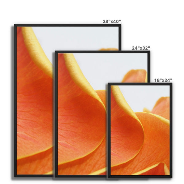 And Flowers D 8 - Close-ups Canvas Print by doingly