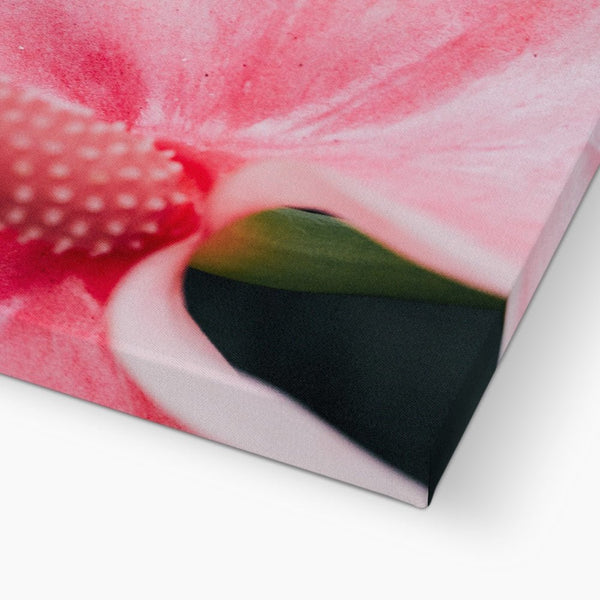 And Flowers E 4 - Close-ups Canvas Print by doingly