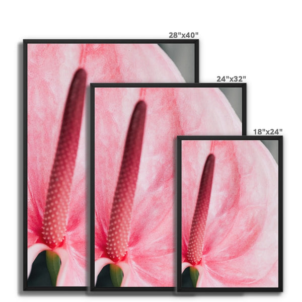 And Flowers E 8 - Close-ups Canvas Print by doingly