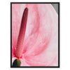 And Flowers E 7 - Close-ups Canvas Print by doingly