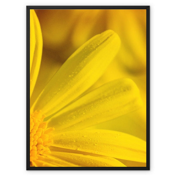 And Flowers F 7 - Close-ups Canvas Print by doingly