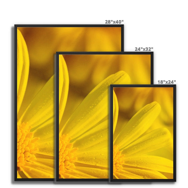 And Flowers F 8 - Close-ups Canvas Print by doingly