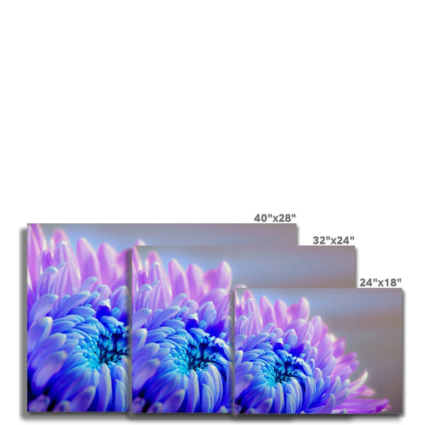 Chrysanne the Mum 7 - Close-ups Canvas Print by doingly