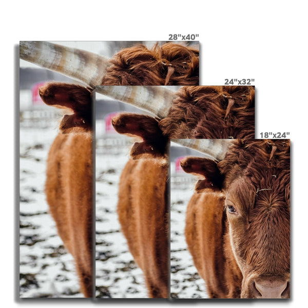 Curious Kate 8 - Animal Canvas Print by doingly