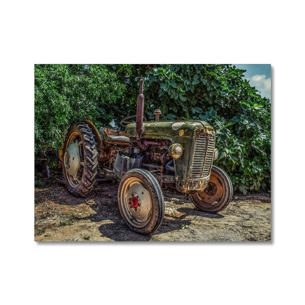 Good ol' Betts 2 - Farm Life Canvas Print by doingly