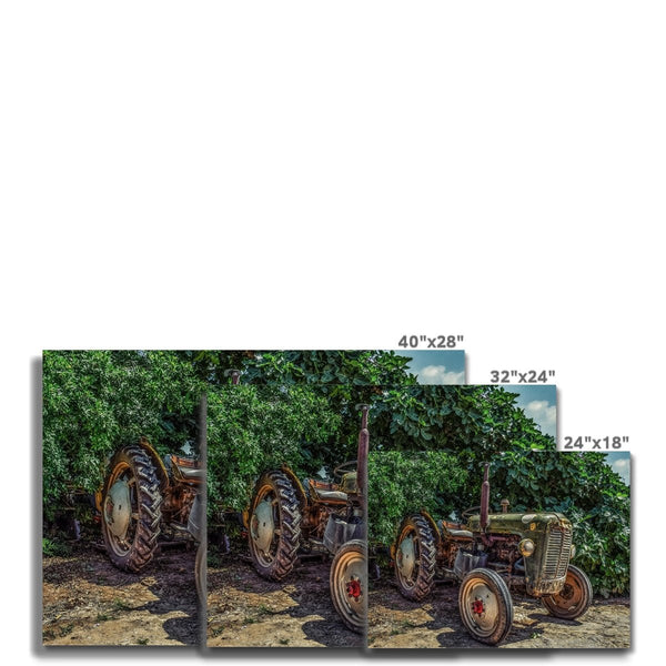 Good ol' Betts 6 - Farm Life Canvas Print by doingly