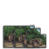 Good ol' Betts 8 - Farm Life Canvas Print by doingly