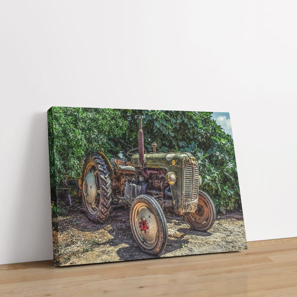 Good ol' Betts 1 - Farm Life Canvas Print by doingly