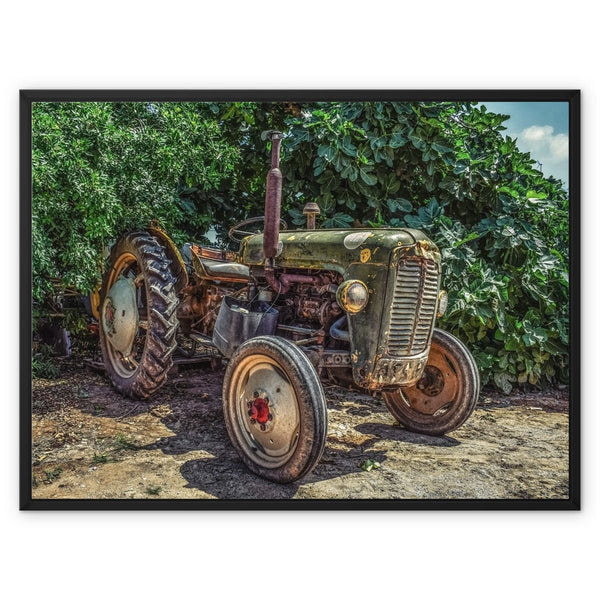 Good ol' Betts 7 - Farm Life Canvas Print by doingly