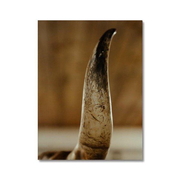 Get The Horns 2 - Animal Canvas Print by doingly