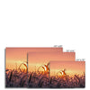 Grains of Dawn 7 - Farm Life Canvas Print by doingly