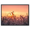 Grains of Dawn 3 - Farm Life Canvas Print by doingly