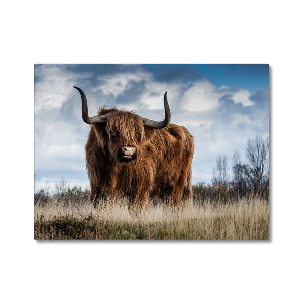 Gruagach 6 - Animal Canvas Print by doingly