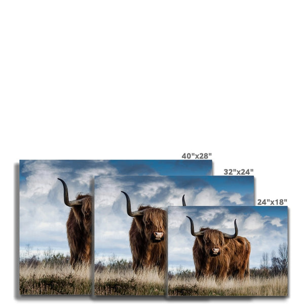 Gruagach 7 - Animal Canvas Print by doingly