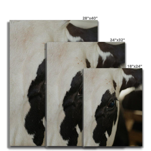 I'm Watching 7 - Animal Canvas Print by doingly