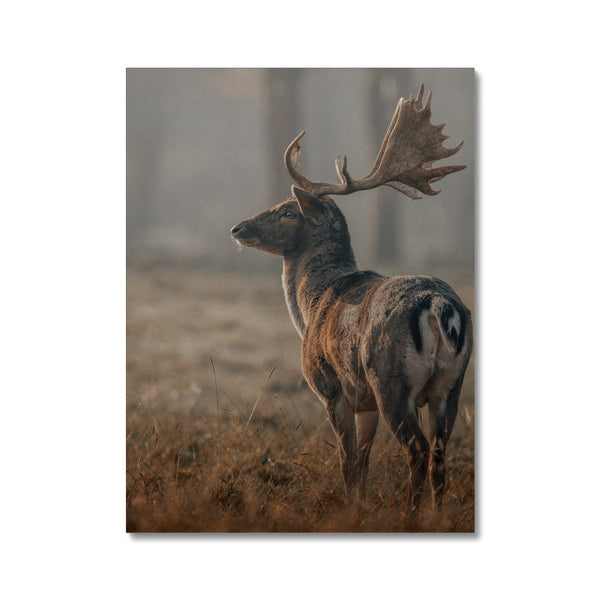 Lockhart 2 - Animal Canvas Print by doingly