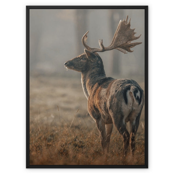 Lockhart 3 - Animal Canvas Print by doingly