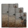 Lockhart 7 - Animal Canvas Print by doingly