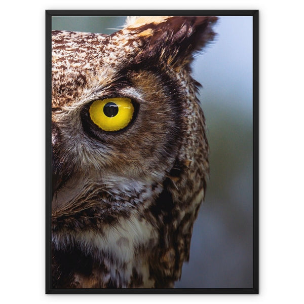 Observant Ollie 3 - Animal Canvas Print by doingly