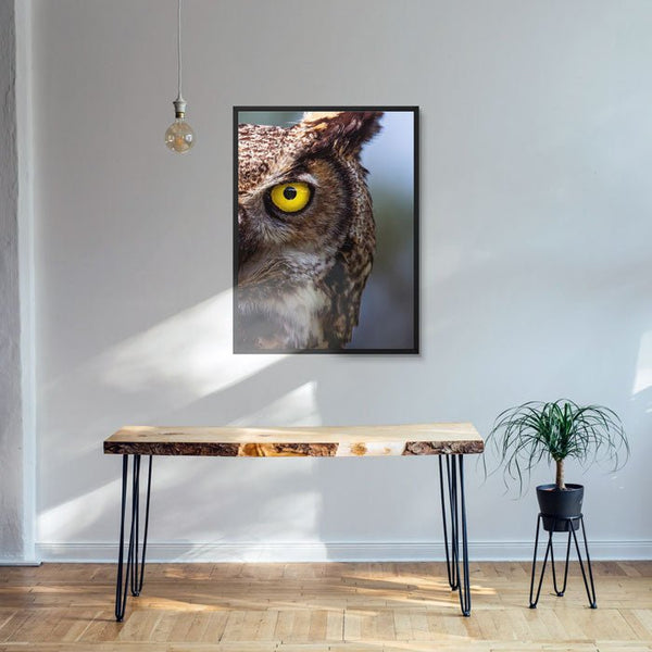 Observant Ollie 7 - Animal Canvas Print by doingly