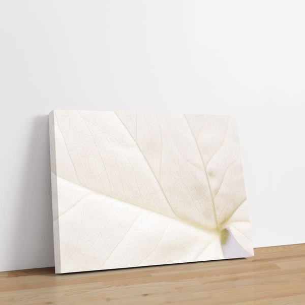 Oleaid 1 - Close - ups Canvas Print by doingly