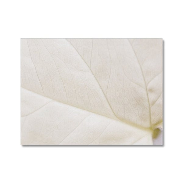 Oleaid 2 - Close-ups Canvas Print by doingly