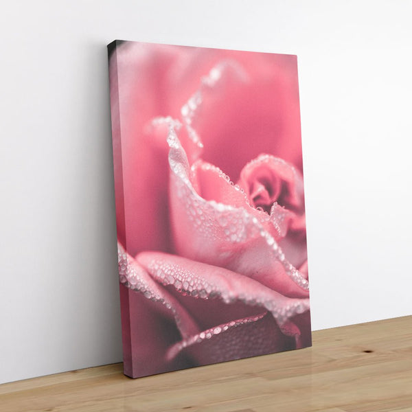Passion 1 - Close - ups Canvas Print by doingly